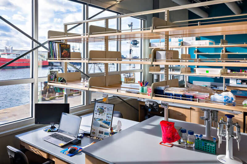 Life Sciences and Healthcare Portfolio